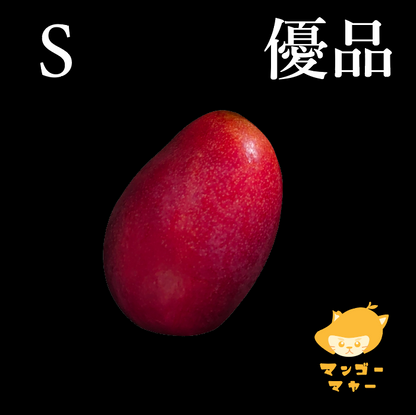 愛文（1個裝） | S級