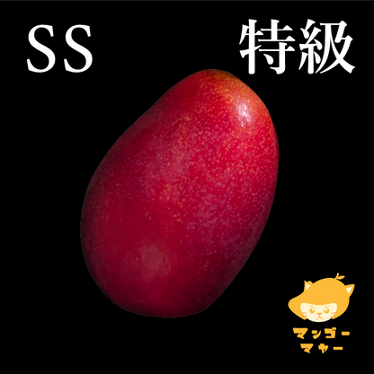 愛文（1個裝） | SS級