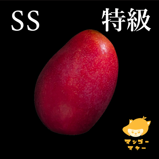 愛文（1個裝） | SS級