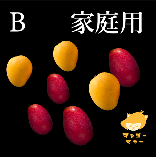 家庭裝拼盤（7-10個）